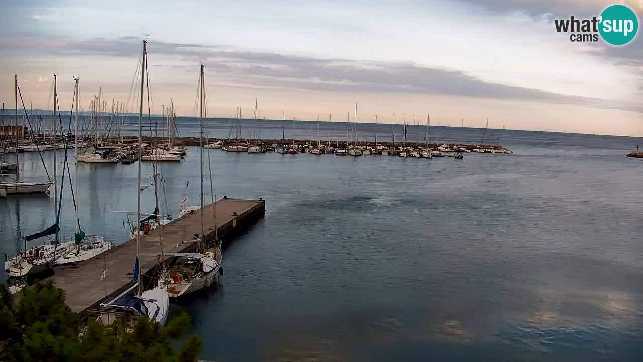 Webcam Sistiana Baia – Live View of the Marina and Gulf