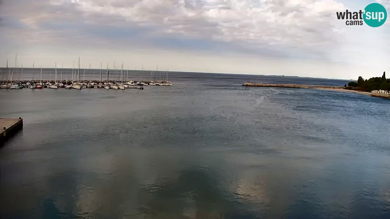 Webcam Sistiana Baia – Live View of the Marina and Gulf