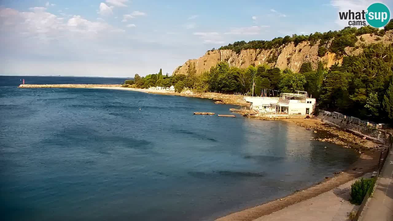 Spletna kamera Sesljanski zaliv – Pogled v živo na marino in zaliv