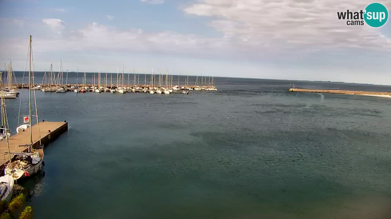 Webcam Sistiana Baia – Live View of the Marina and Gulf