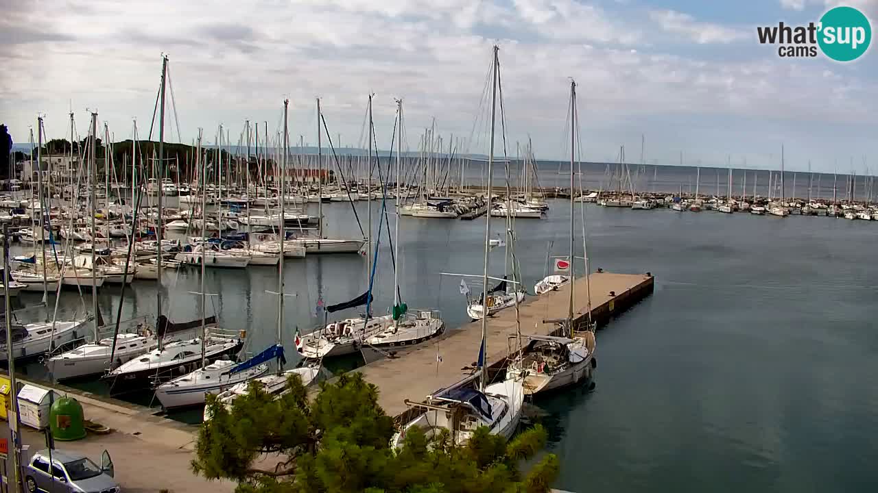 Webcam Sistiana Baia – Live View of the Marina and Gulf