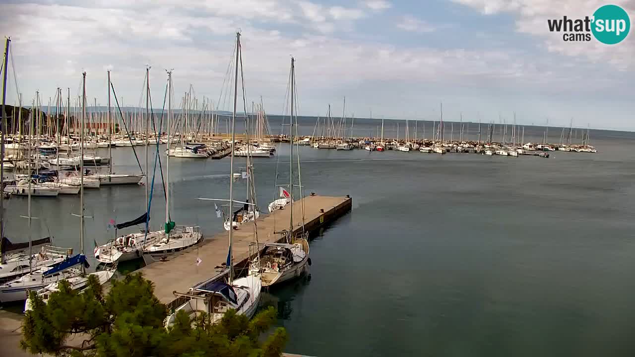 Web kamera Sistiana Uvala – Pogled uživo na marinu i zaljev