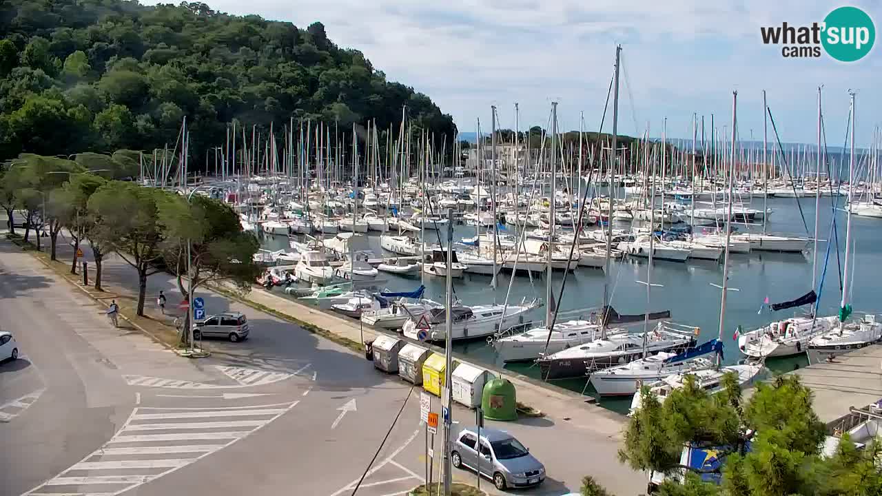 Webcam Sistiana Baia – Live View of the Marina and Gulf