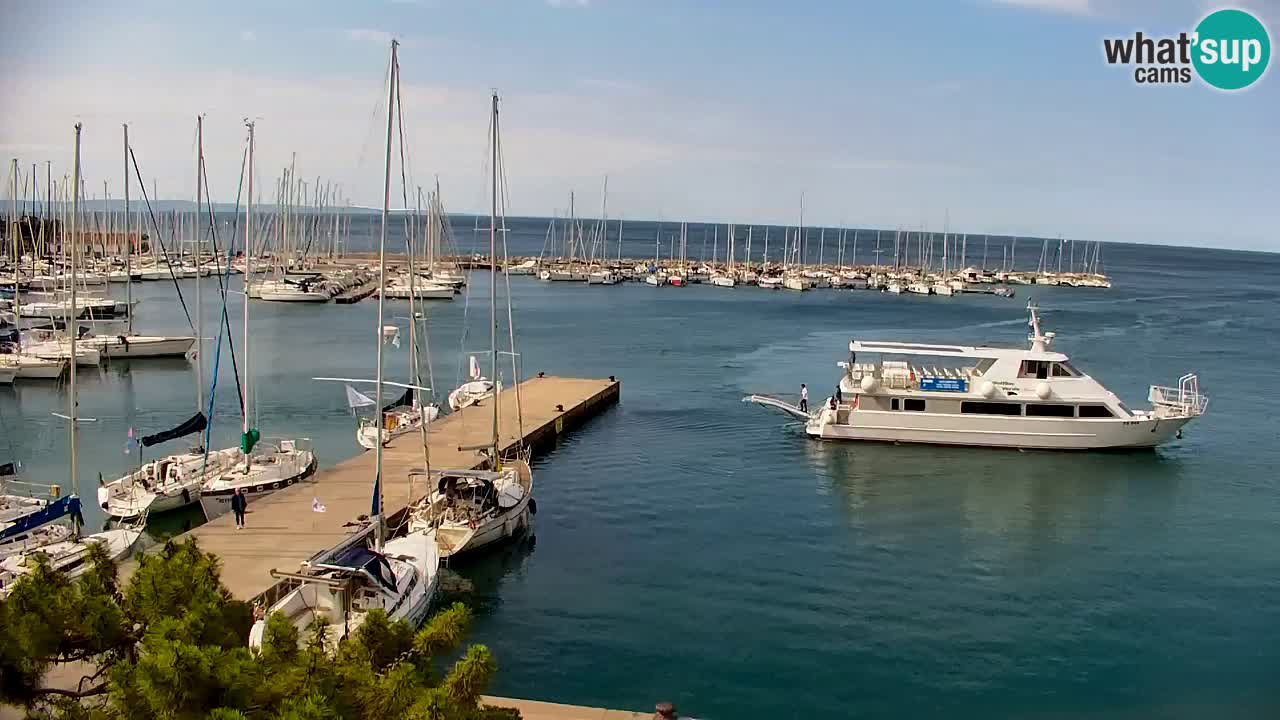 Webcam Sistiana Baia – Live View of the Marina and Gulf