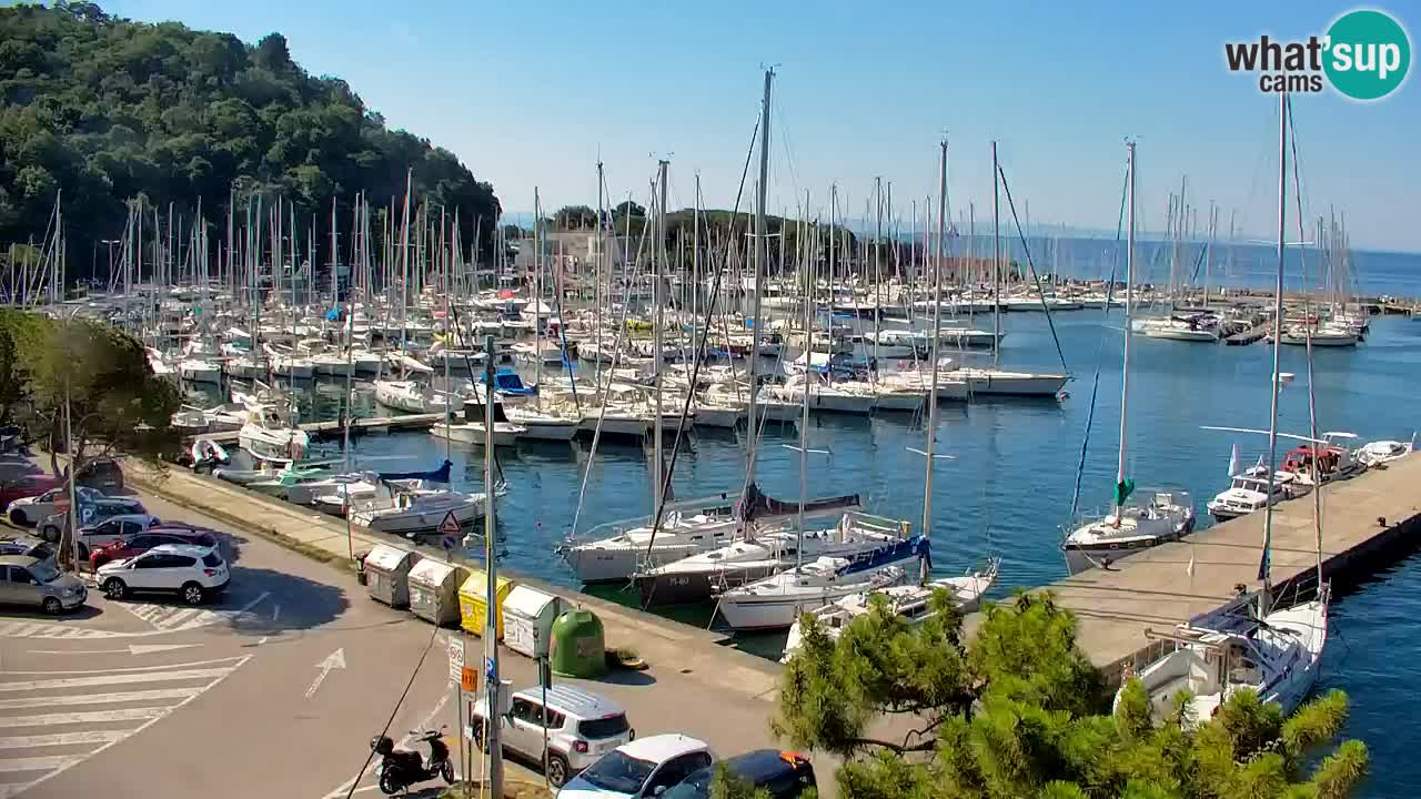 Webcam Bahía de Sistiana – Vista en directo del puerto deportivo y la costa