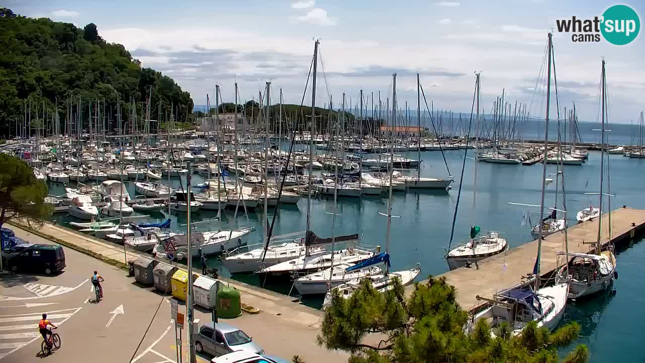 Webcam Bahía de Sistiana – Vista en directo del puerto deportivo y la costa