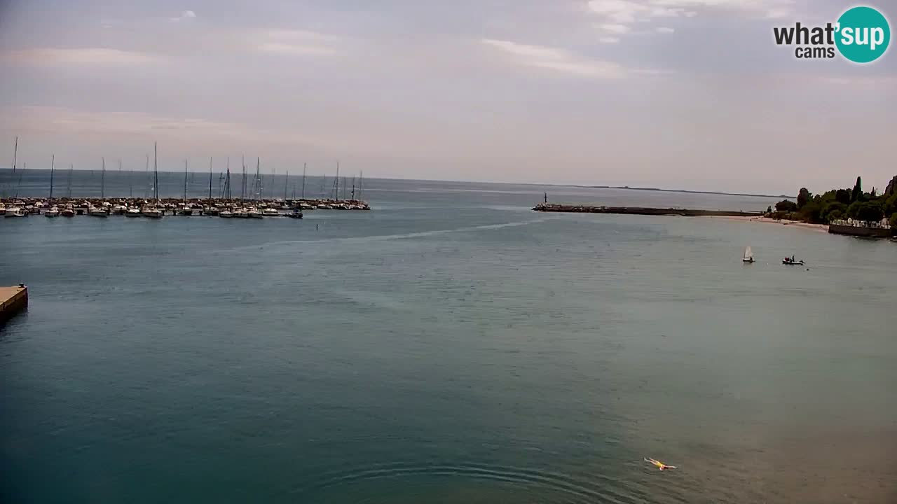 Web kamera Sistiana Uvala – Pogled uživo na marinu i zaljev