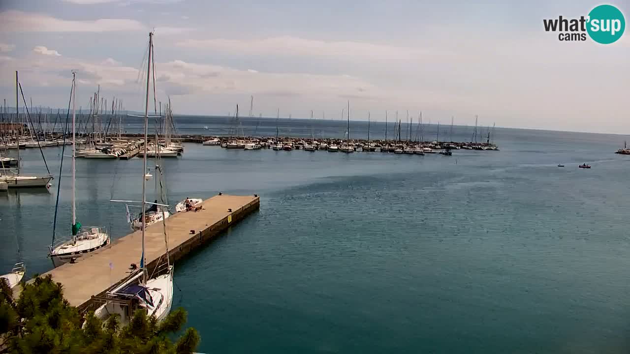 Webcam Bahía de Sistiana – Vista en directo del puerto deportivo y la costa