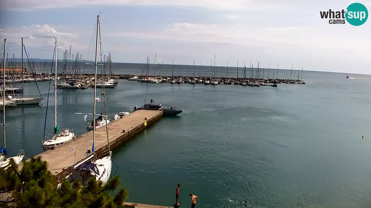 Web kamera Sistiana Uvala – Pogled uživo na marinu i zaljev