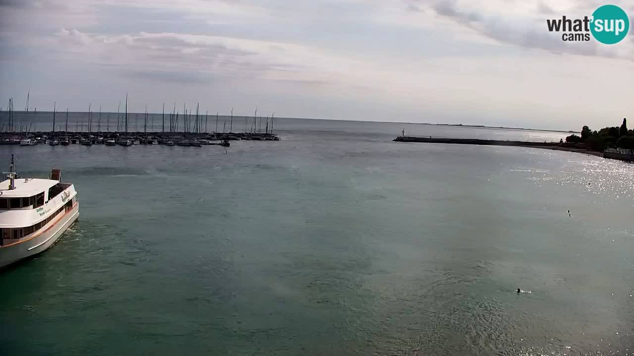 Webcam Bahía de Sistiana – Vista en directo del puerto deportivo y la costa