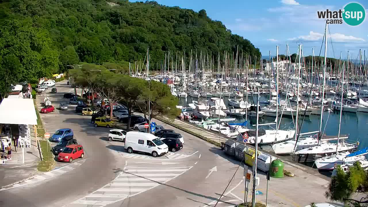 Webcam Sistiana Baia – Live View of the Marina and Gulf