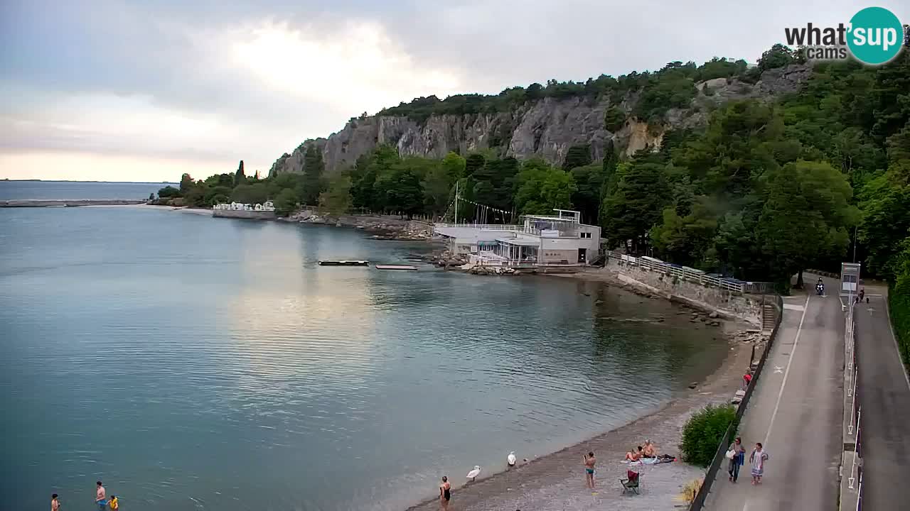 Webcam Sistiana Baia – Live View of the Marina and Gulf