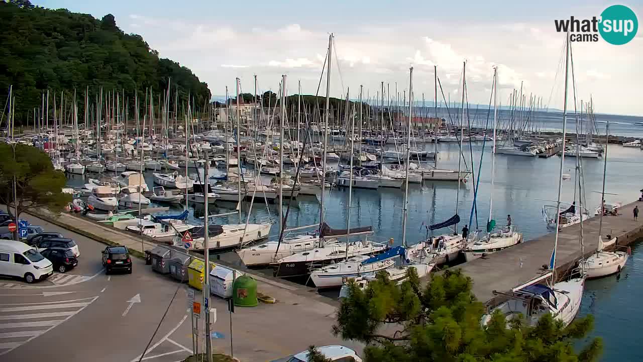 Webcam Bahía de Sistiana – Vista en directo del puerto deportivo y la costa