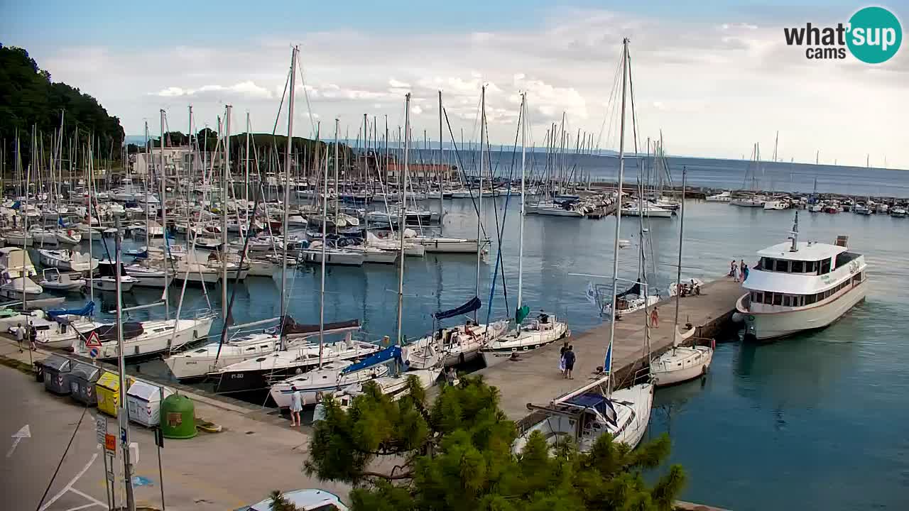 Webcam Sistiana Baia – Live View of the Marina and Gulf