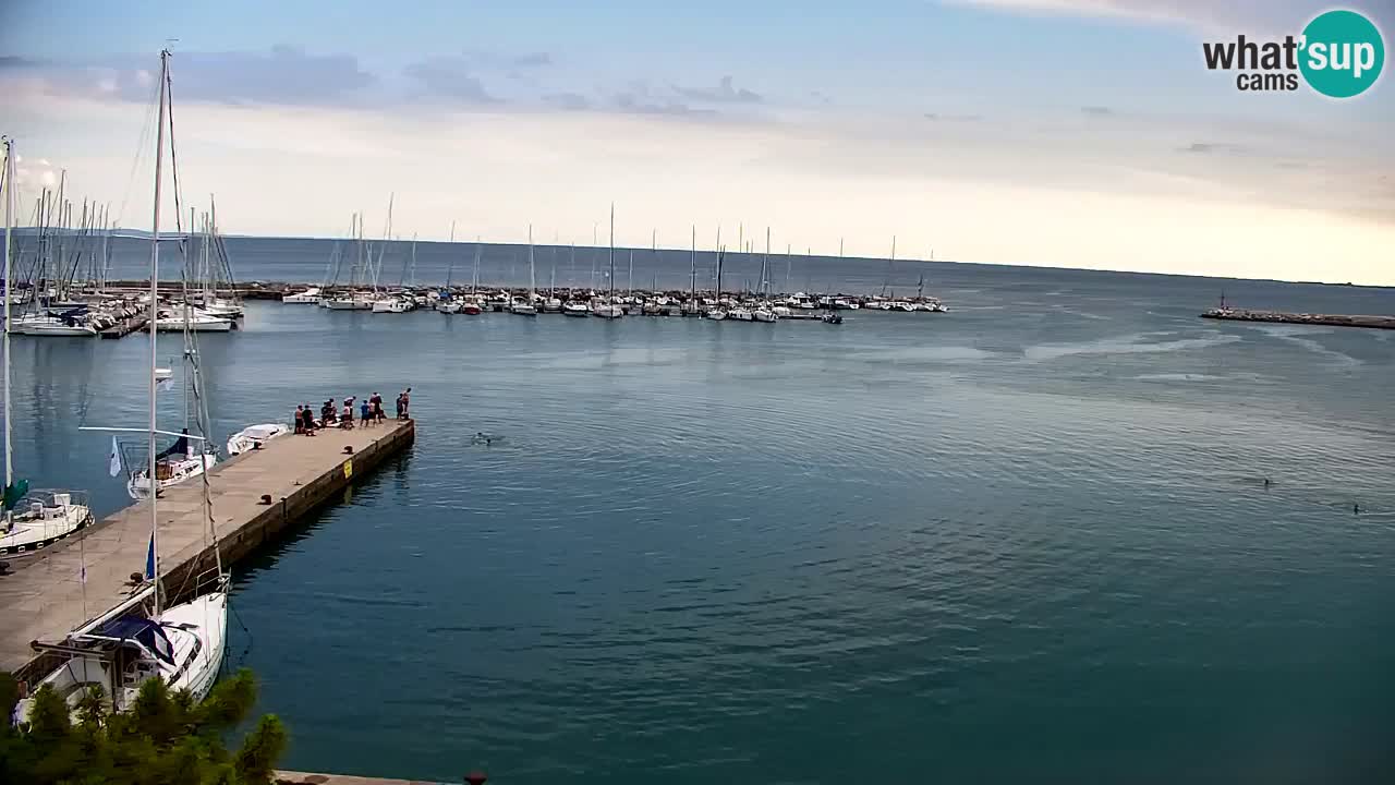 Webcam Baia di Sistiana – Marina e Golfo in diretta