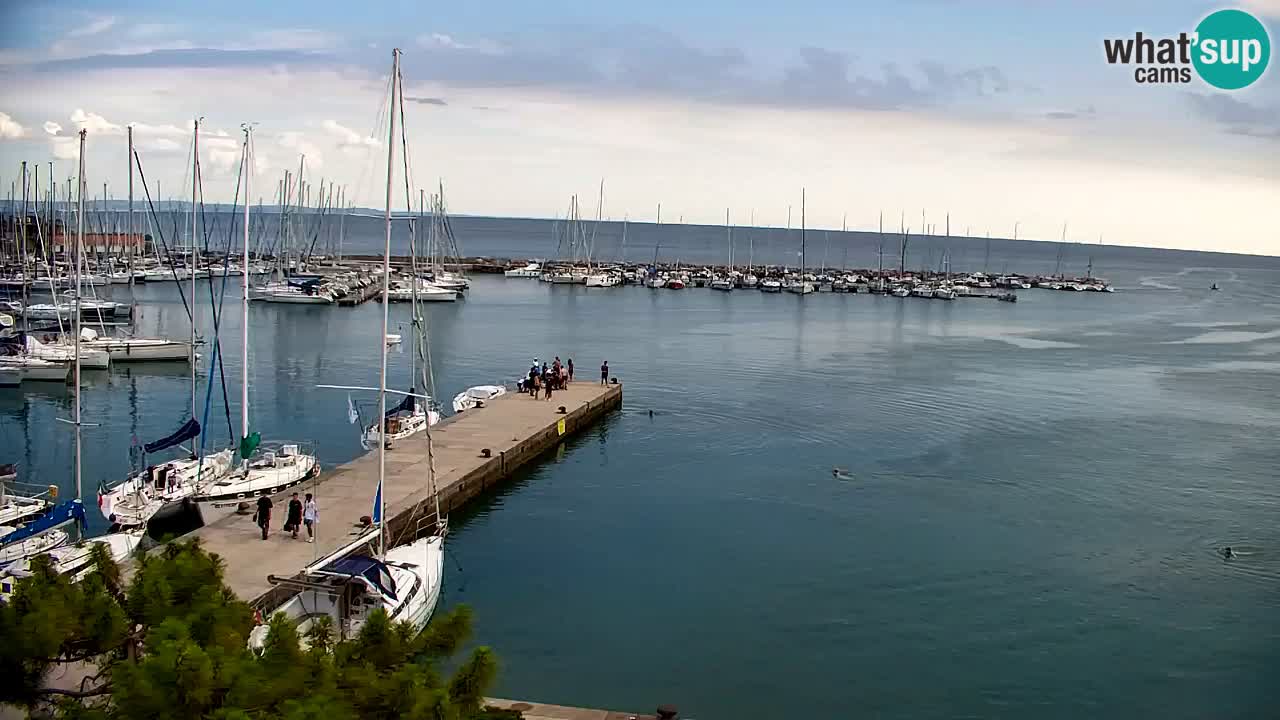 Web kamera Sistiana Uvala – Pogled uživo na marinu i zaljev