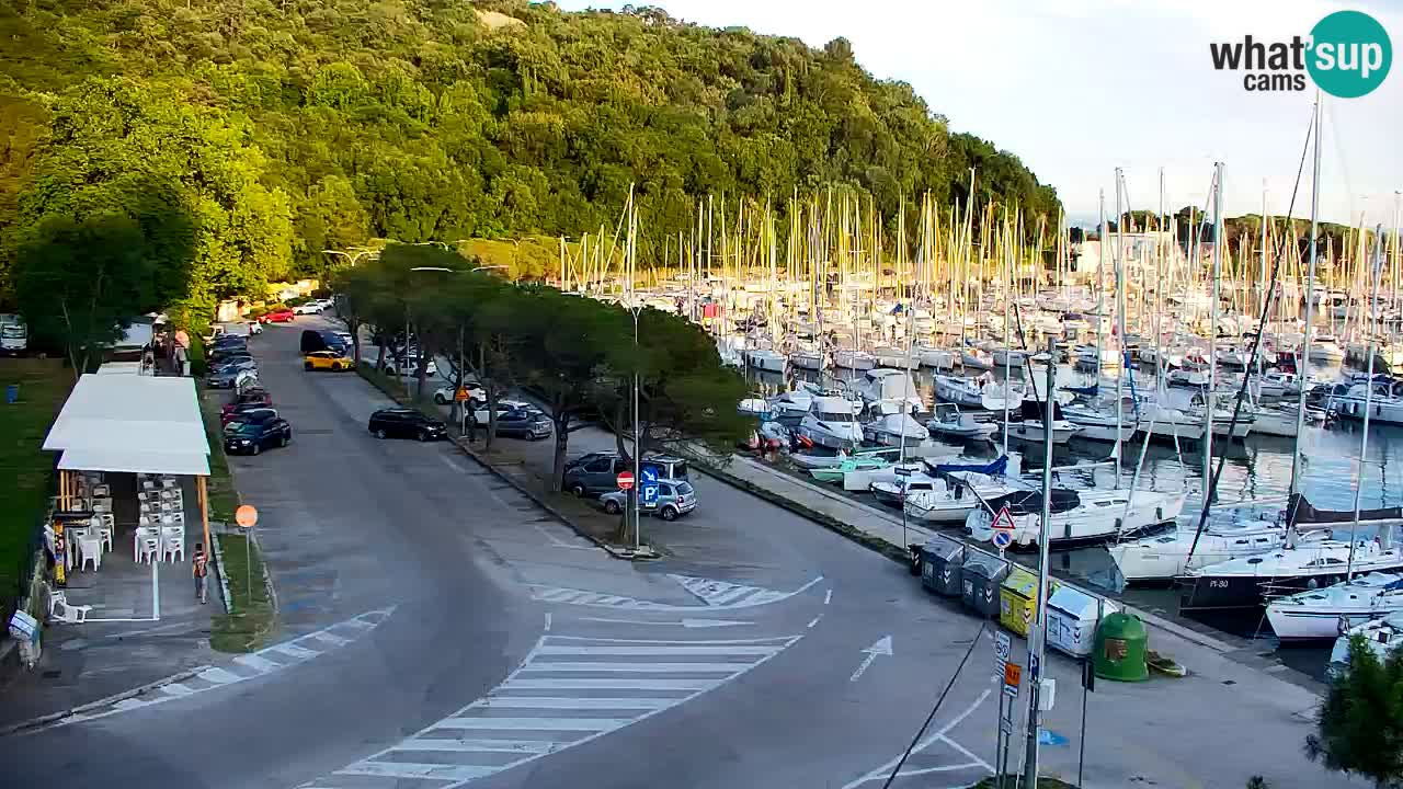 Webcam Sistiana Baia – Live View of the Marina and Gulf