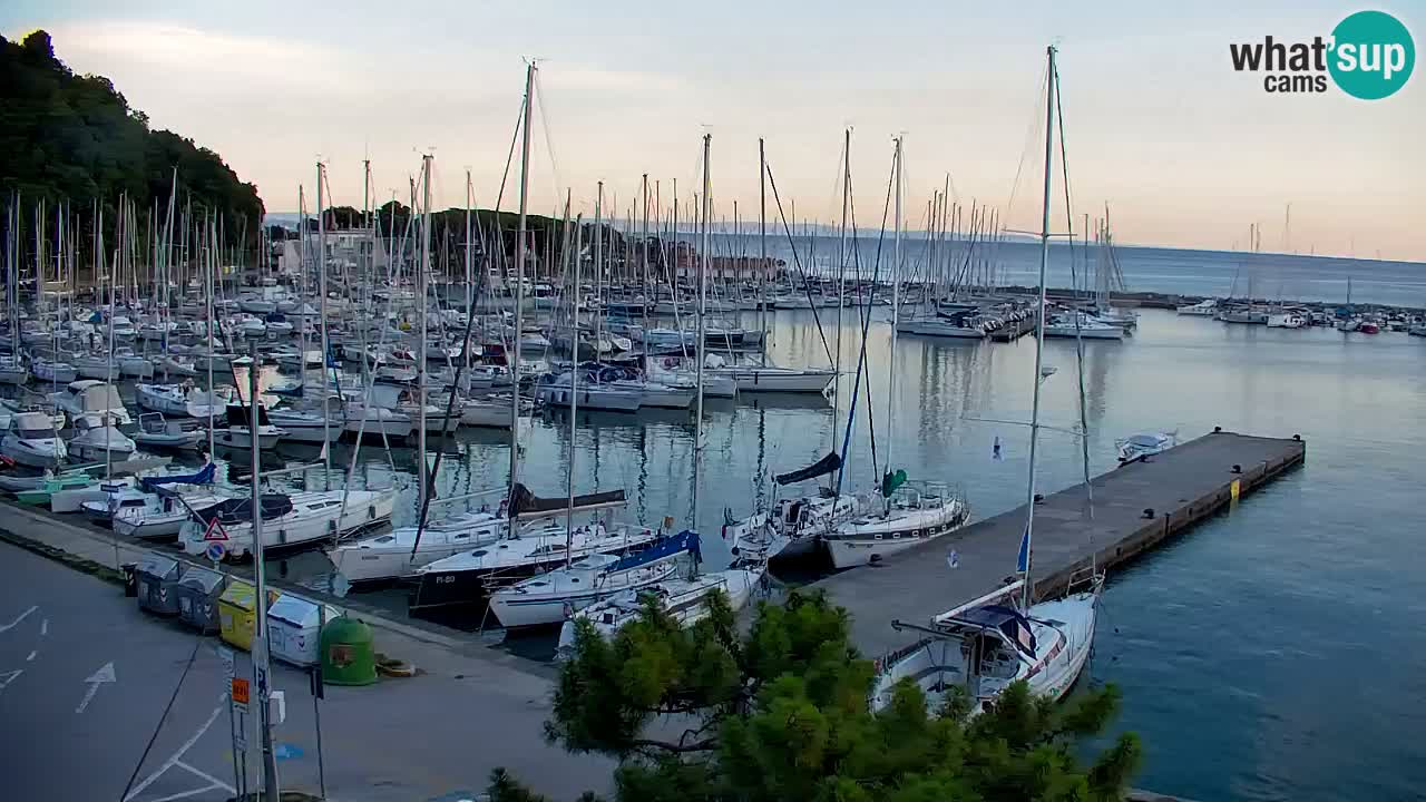 Webcam Sistiana Baia – Live View of the Marina and Gulf