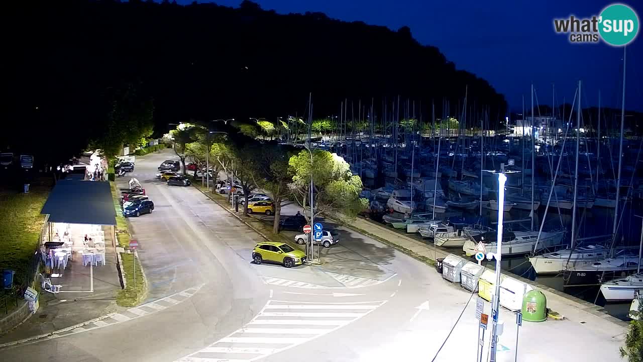 Webcam Sistiana Baia – Live View of the Marina and Gulf