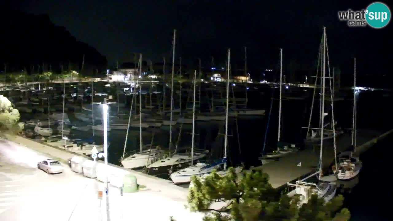 Webcam Sistiana Baia – Live View of the Marina and Gulf