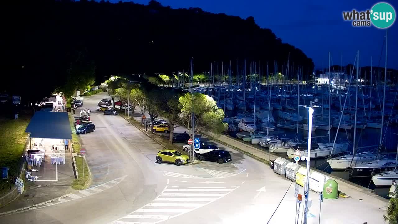 Webcam Bahía de Sistiana – Vista en directo del puerto deportivo y la costa