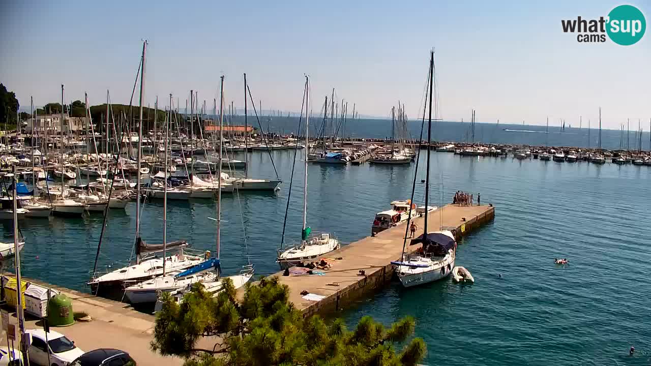 Webcam Sistiana Baia – Live View of the Marina and Gulf