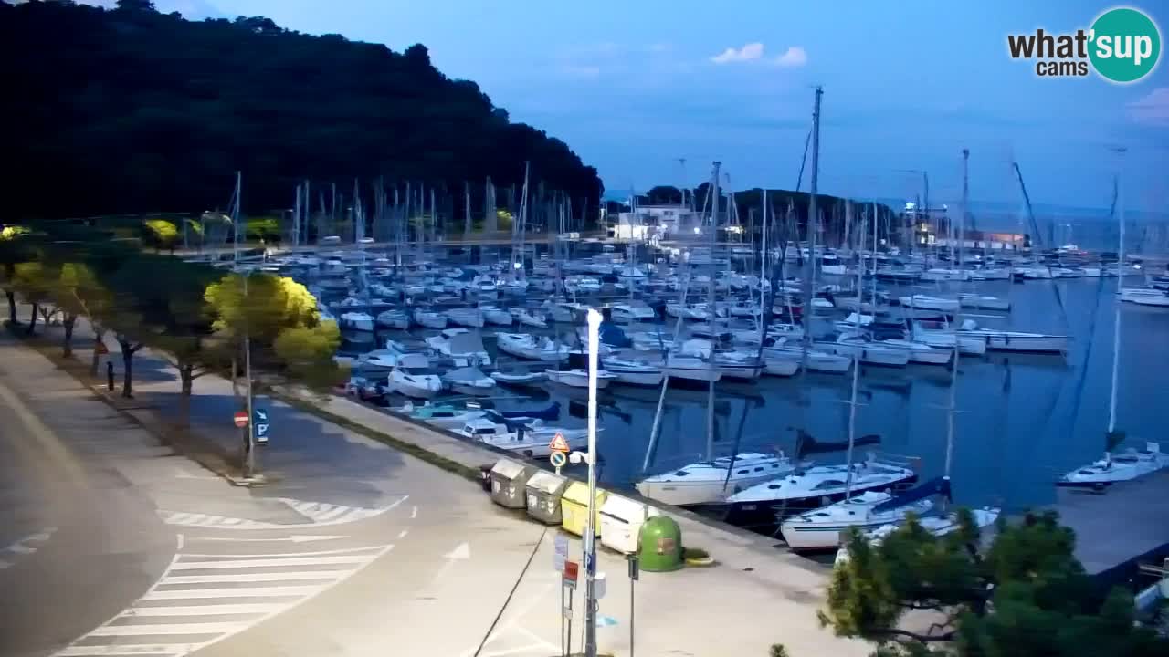 Webcam Sistiana Baia – Live View of the Marina and Gulf