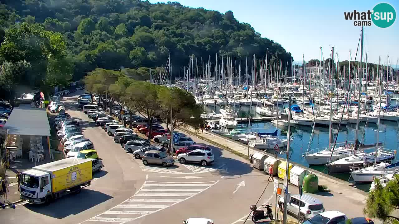 Webcam Sistiana Baia – Live View of the Marina and Gulf