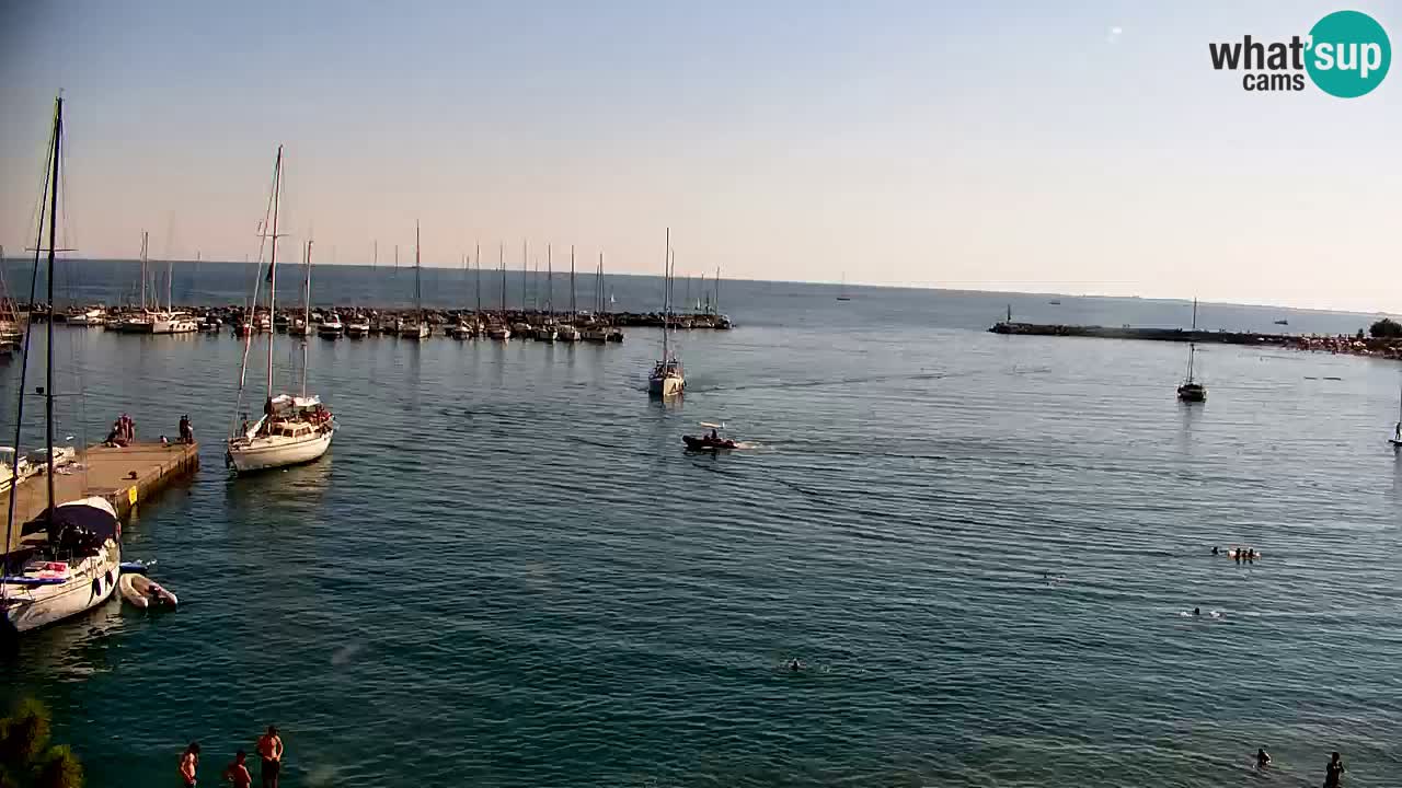Web kamera Sistiana Uvala – Pogled uživo na marinu i zaljev