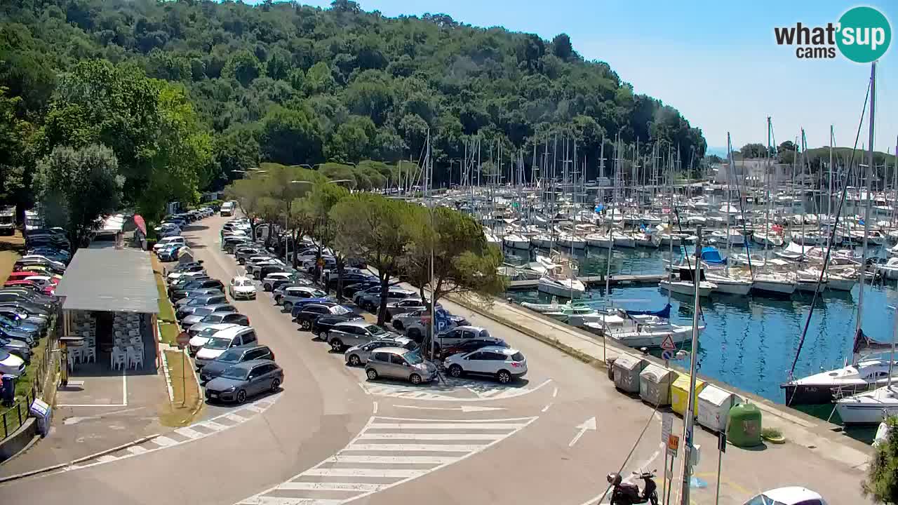 Webcam Baie de Sistiana – Vue en direct de la marina et de la baie