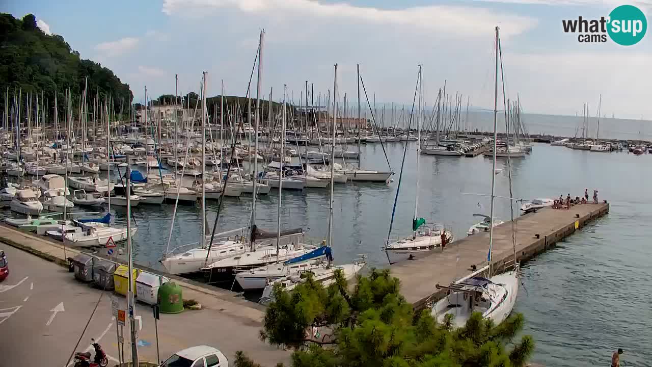 Webcam Sistiana Baia – Live View of the Marina and Gulf