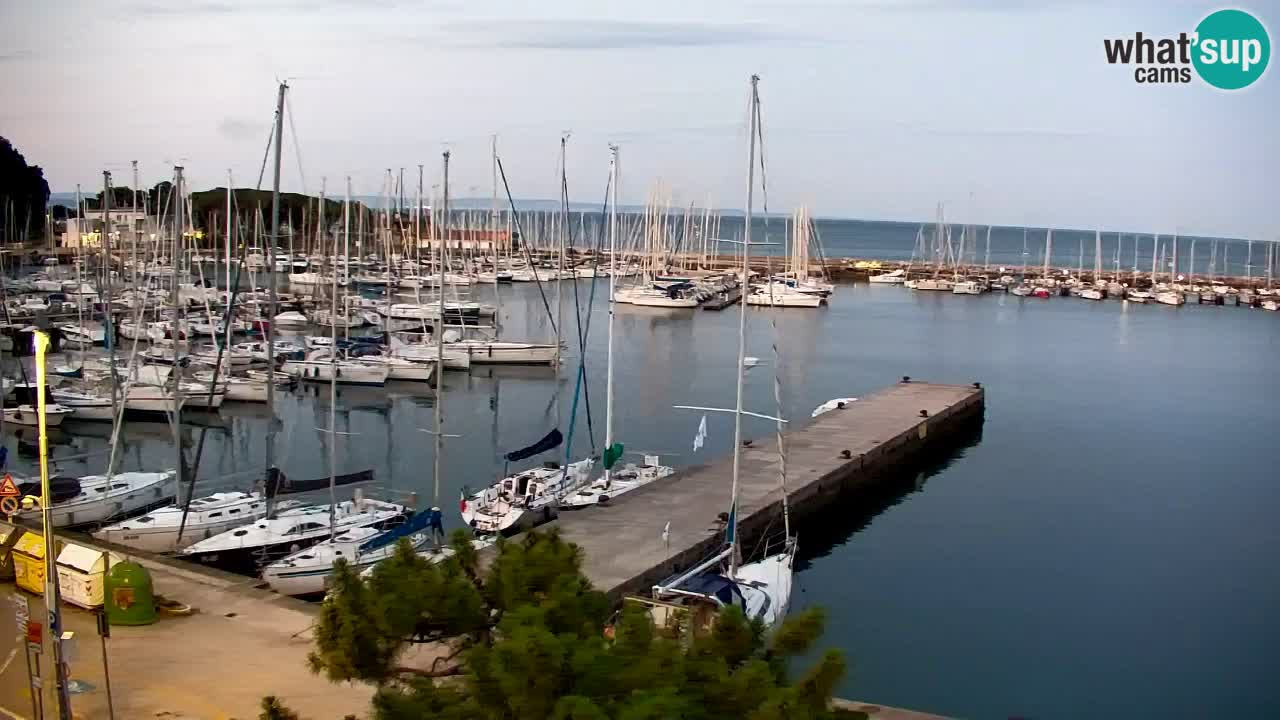 Webcam Sistiana Baia – Live View of the Marina and Gulf