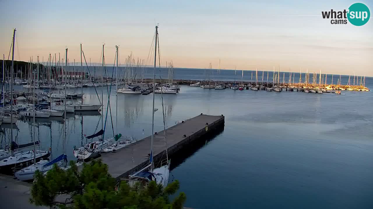 Webcam Sistiana Baia – Live View of the Marina and Gulf