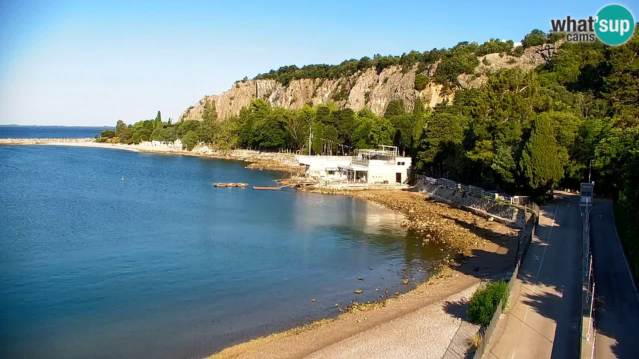 Webcam Bahía de Sistiana – Vista en directo del puerto deportivo y la costa