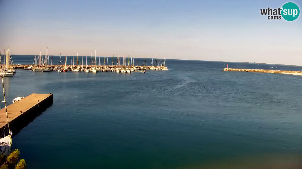 Webcam Sistiana Baia – Live View of the Marina and Gulf