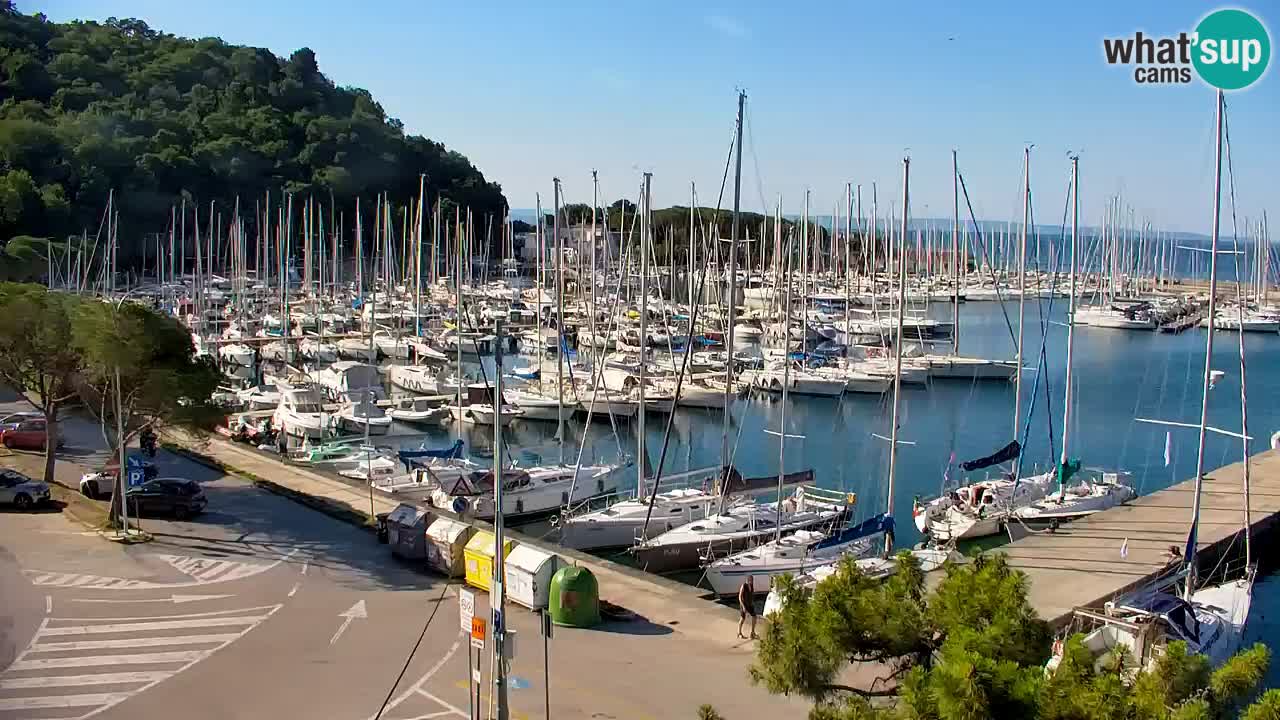 Webcam Baia di Sistiana – Marina e Golfo in diretta