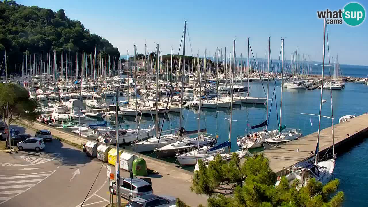 Webcam Sistiana Baia – Live View of the Marina and Gulf