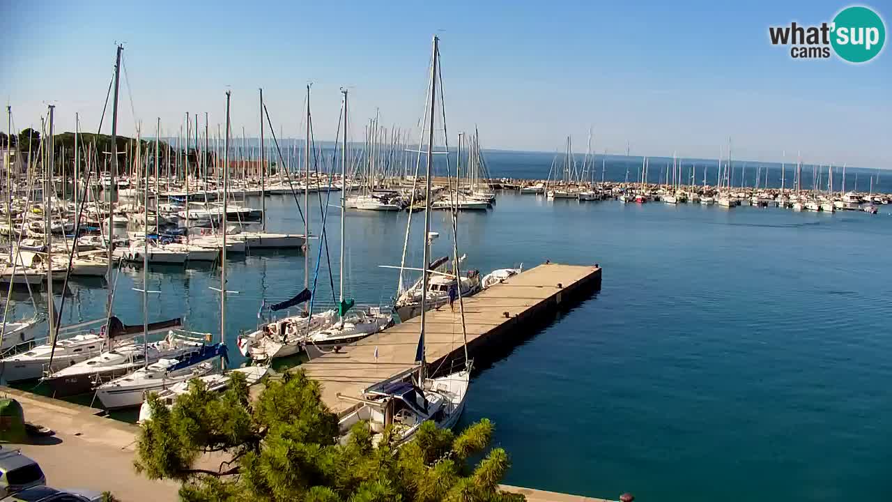 Webcam Bahía de Sistiana – Vista en directo del puerto deportivo y la costa