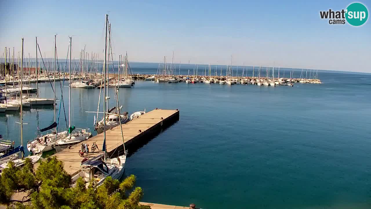 Webcam Sistiana Baia – Live View of the Marina and Gulf