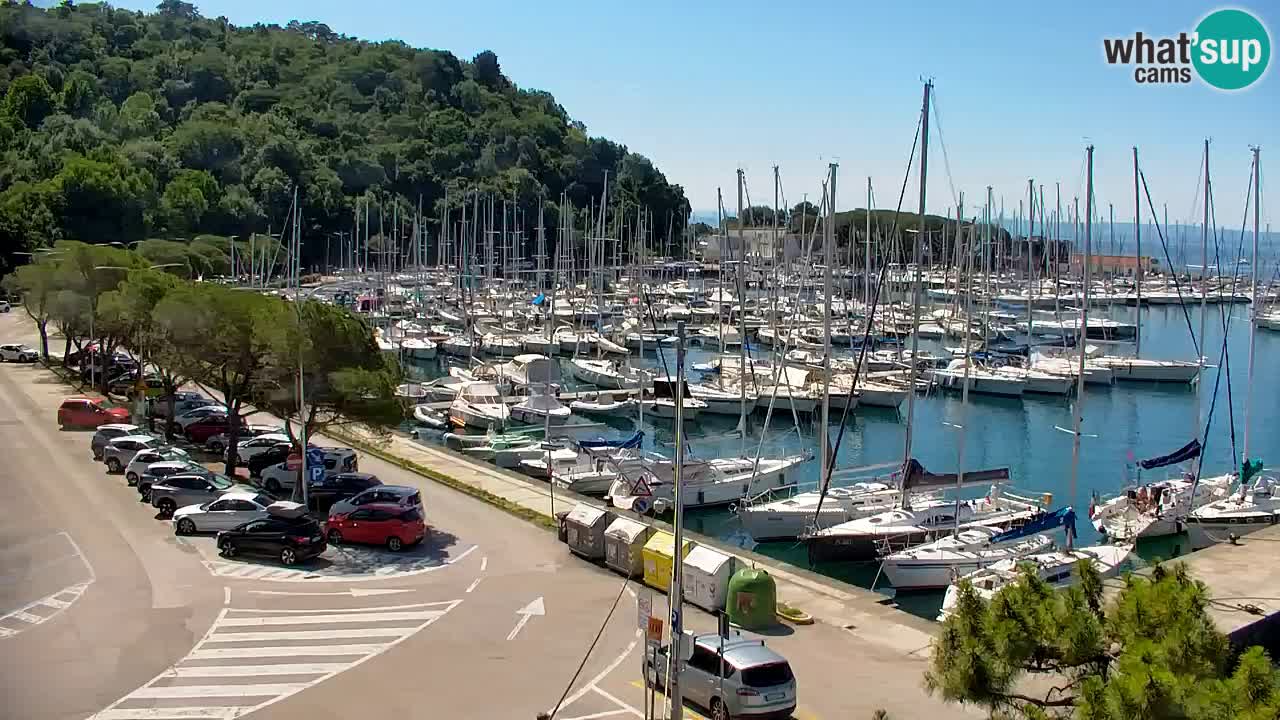 Webcam Bahía de Sistiana – Vista en directo del puerto deportivo y la costa