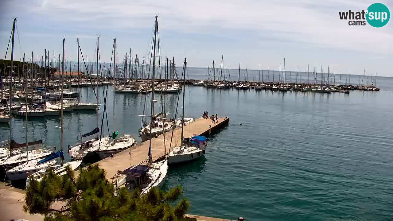 Webcam Sistiana Baia – Live View of the Marina and Gulf