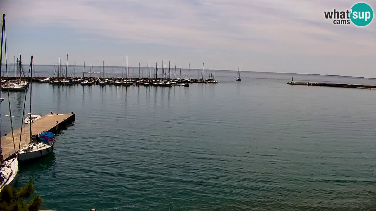 Webcam Sistiana Baia – Live View of the Marina and Gulf