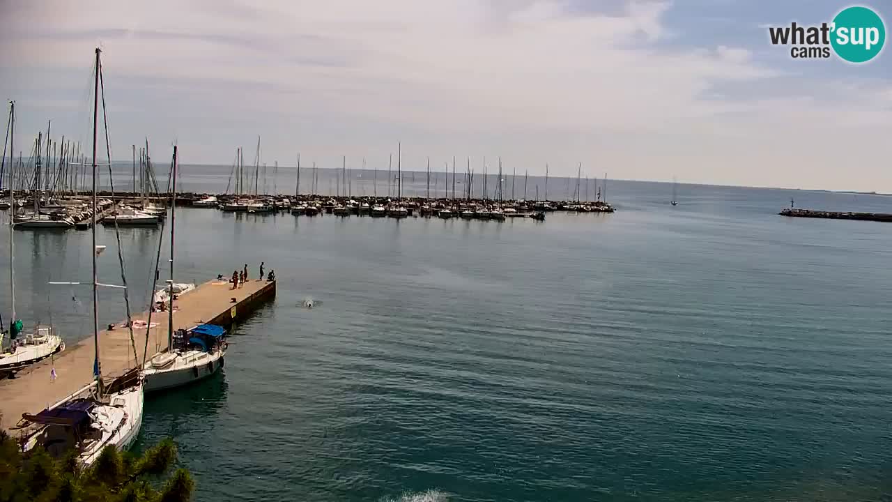 Spletna kamera Sesljanski zaliv – Pogled v živo na marino in zaliv