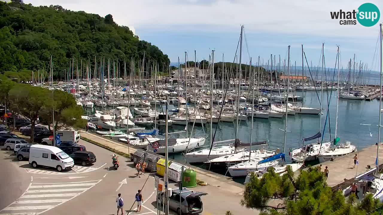 Webcam Sistiana Baia – Live View of the Marina and Gulf