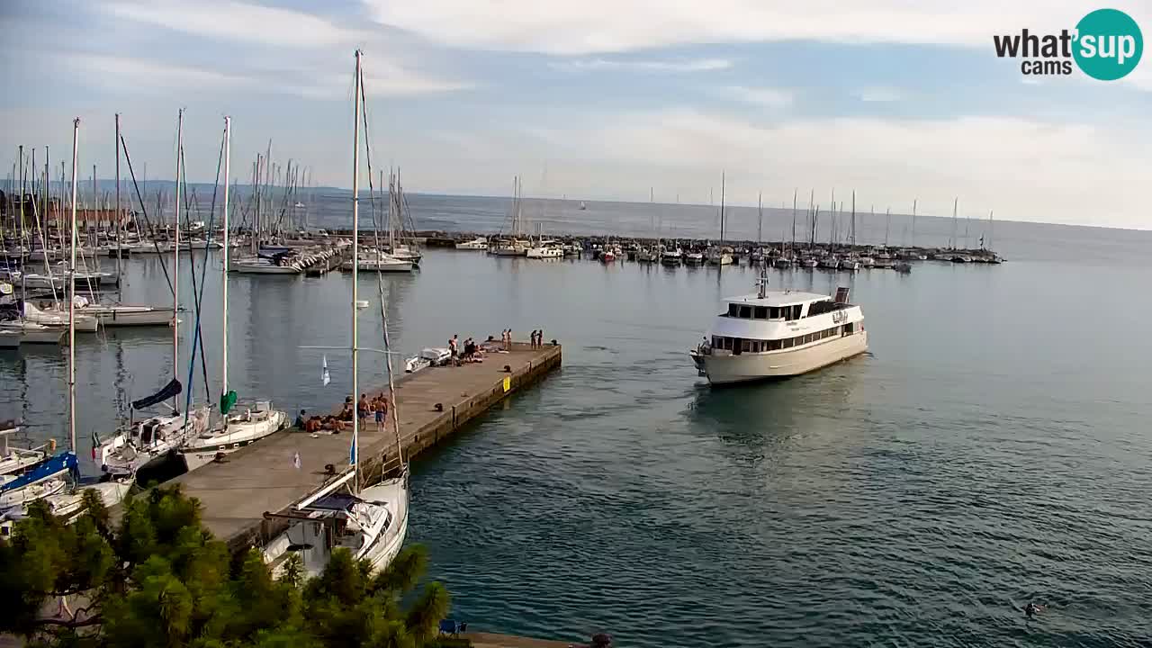 Webcam Sistiana Baia – Live View of the Marina and Gulf