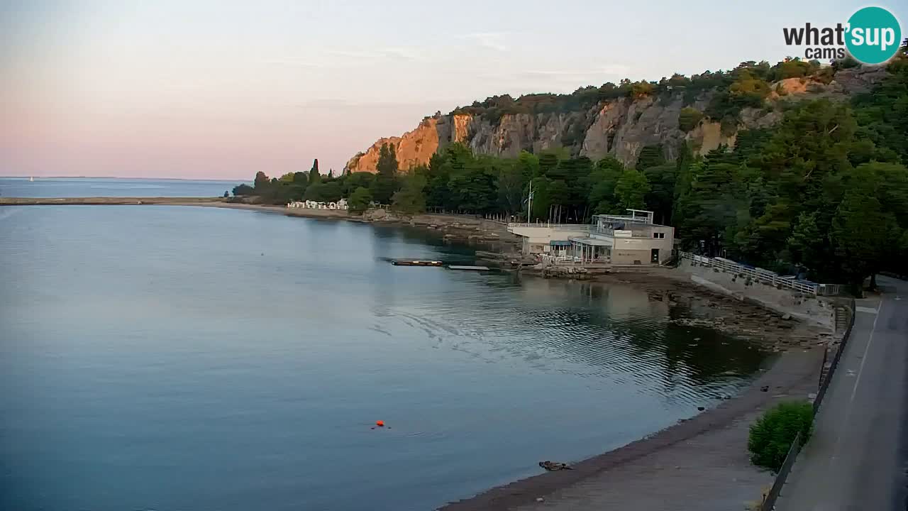 Web kamera Sistiana Uvala – Pogled uživo na marinu i zaljev