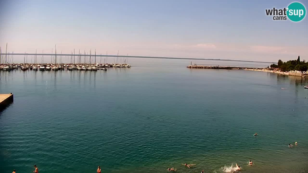 Webcam Bahía de Sistiana – Vista en directo del puerto deportivo y la costa