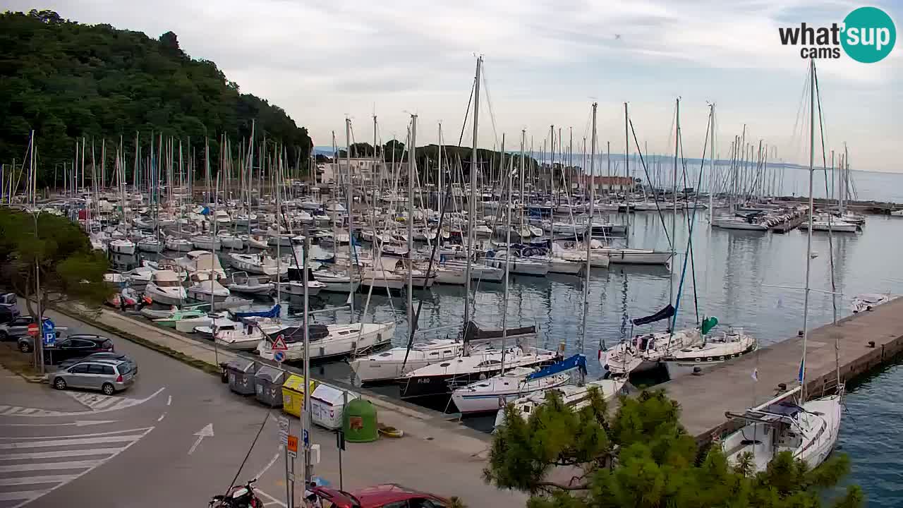 Web kamera Sistiana Uvala – Pogled uživo na marinu i zaljev