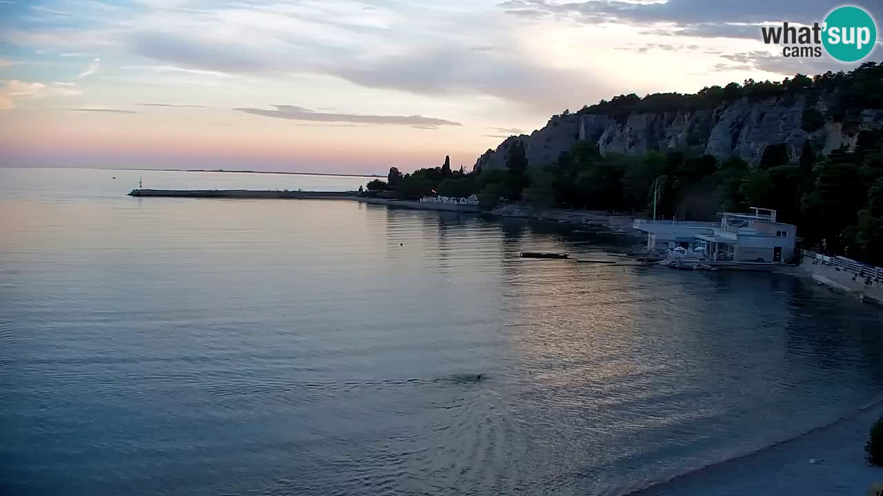 Webcam Sistiana Bucht – Liveblick auf Marina und Bucht