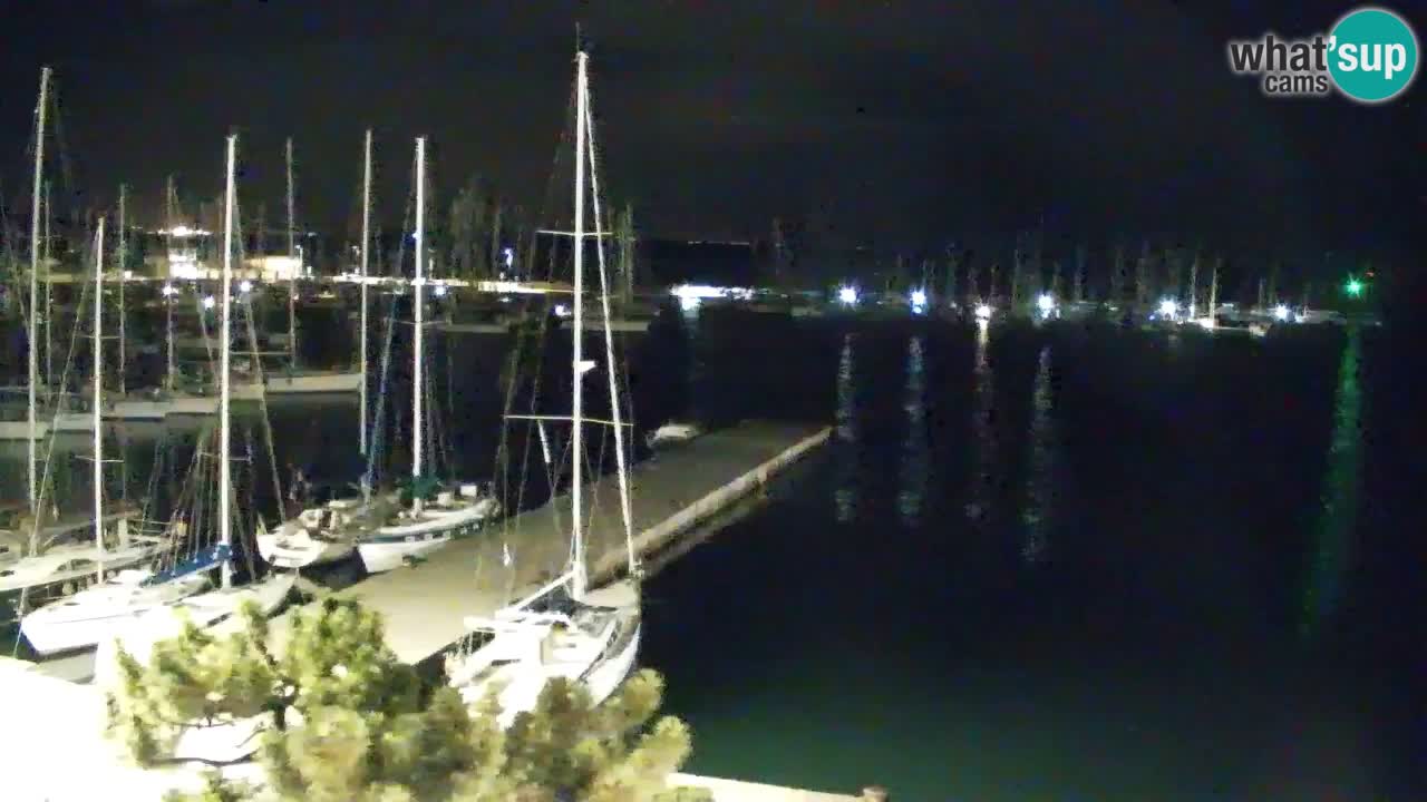 Webcam Sistiana Baia – Live View of the Marina and Gulf